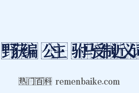 野获编·公主·驸马受制近义词是什么意思的图片